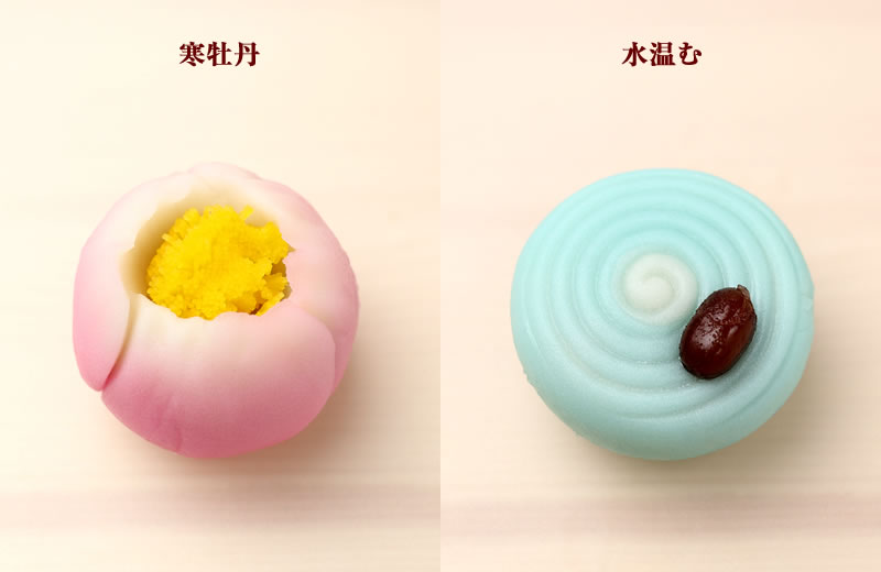 寒牡丹　水温む